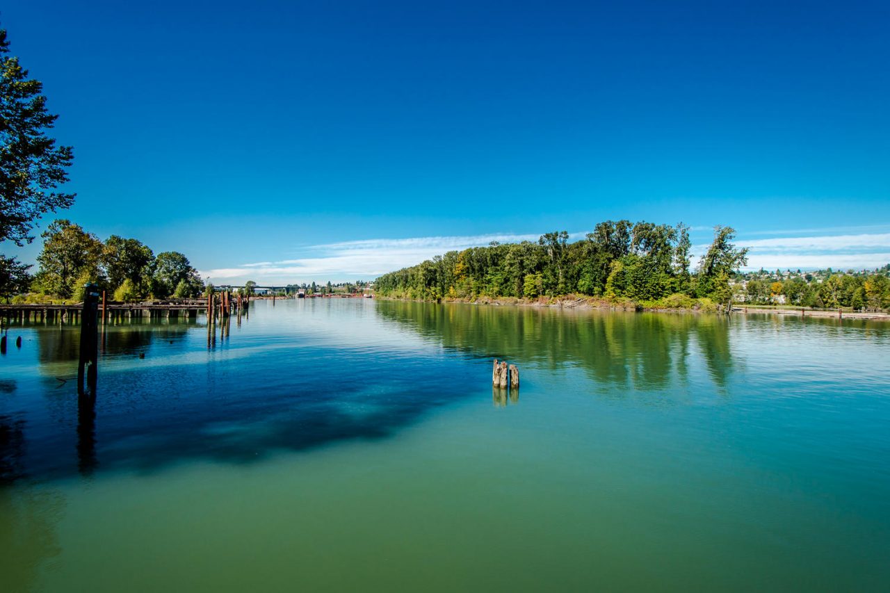 187 Star Crescent, New Westminster 8