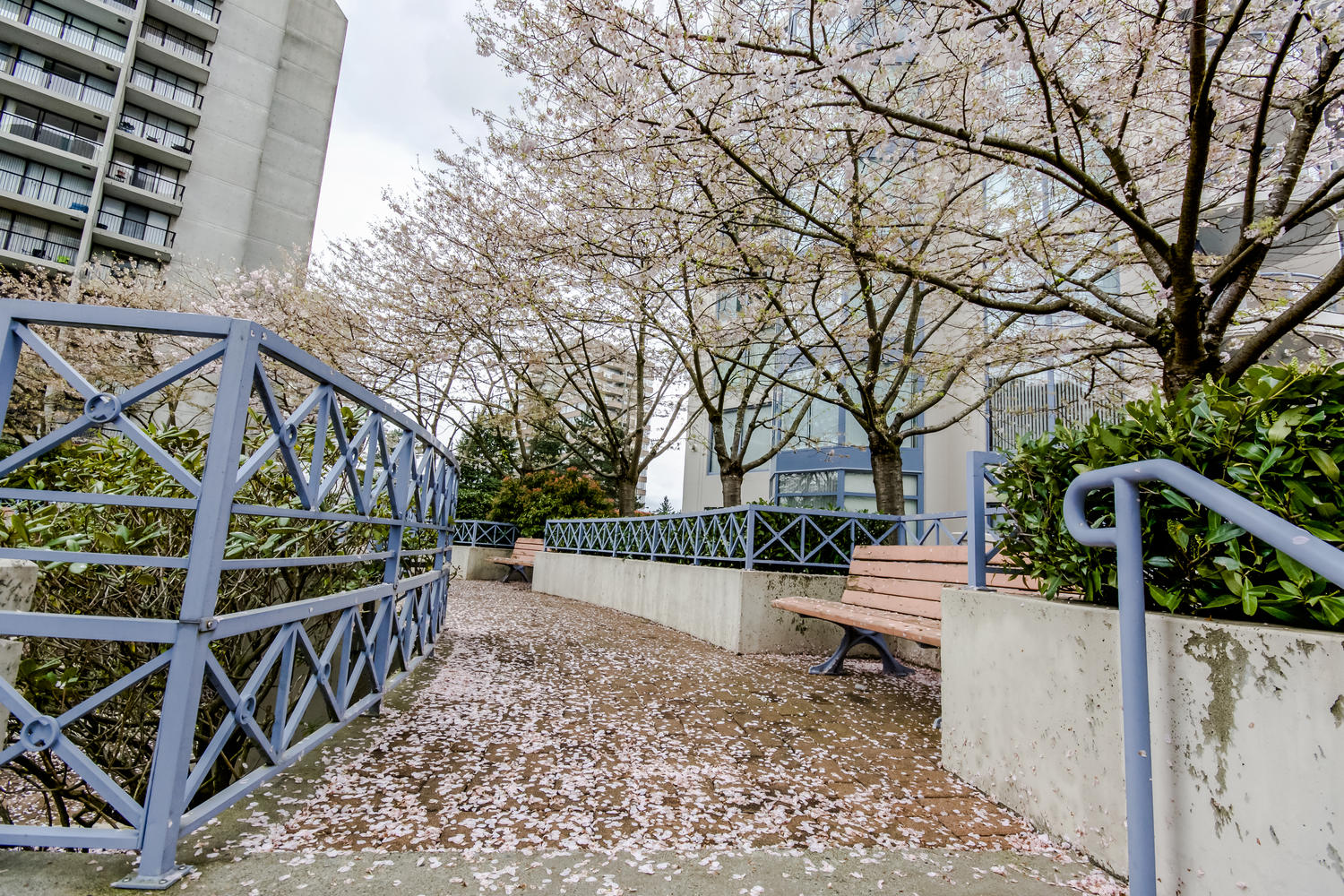 2202-719 Princess Street, New Westminster, BC 3