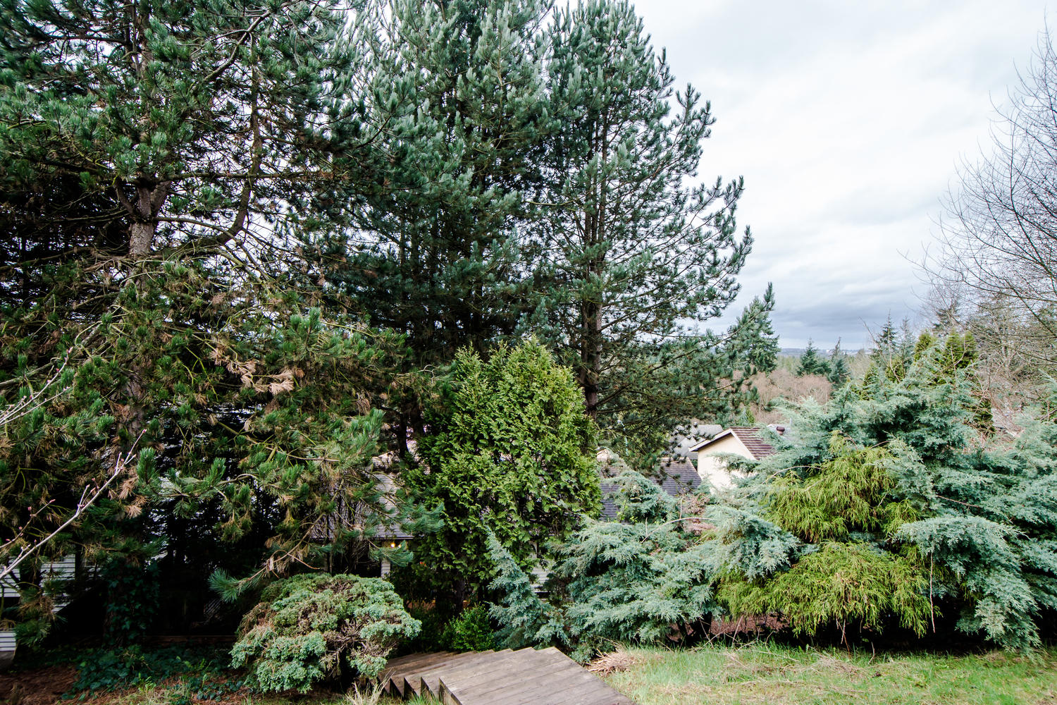 7600 Barrymore Drive, Delta, BC 48