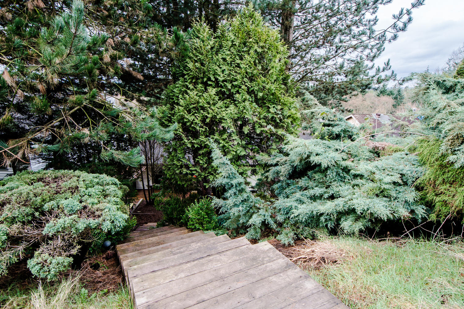 7600 Barrymore Drive, Delta, BC 49