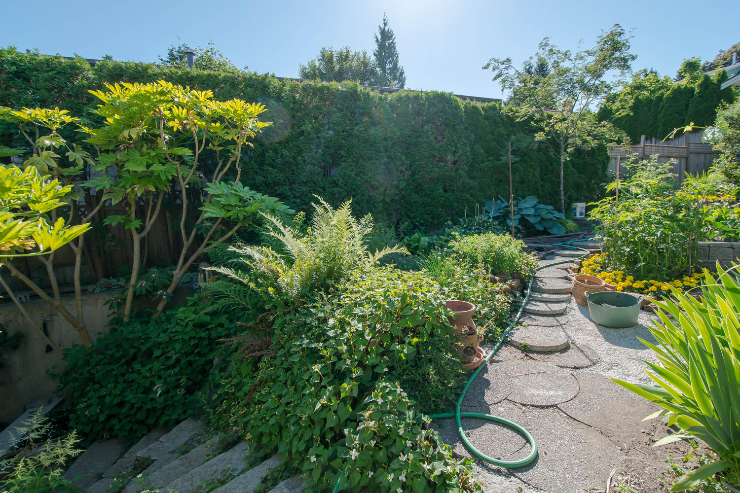 1405 Nanaimo Street, New Westminster, BC 36