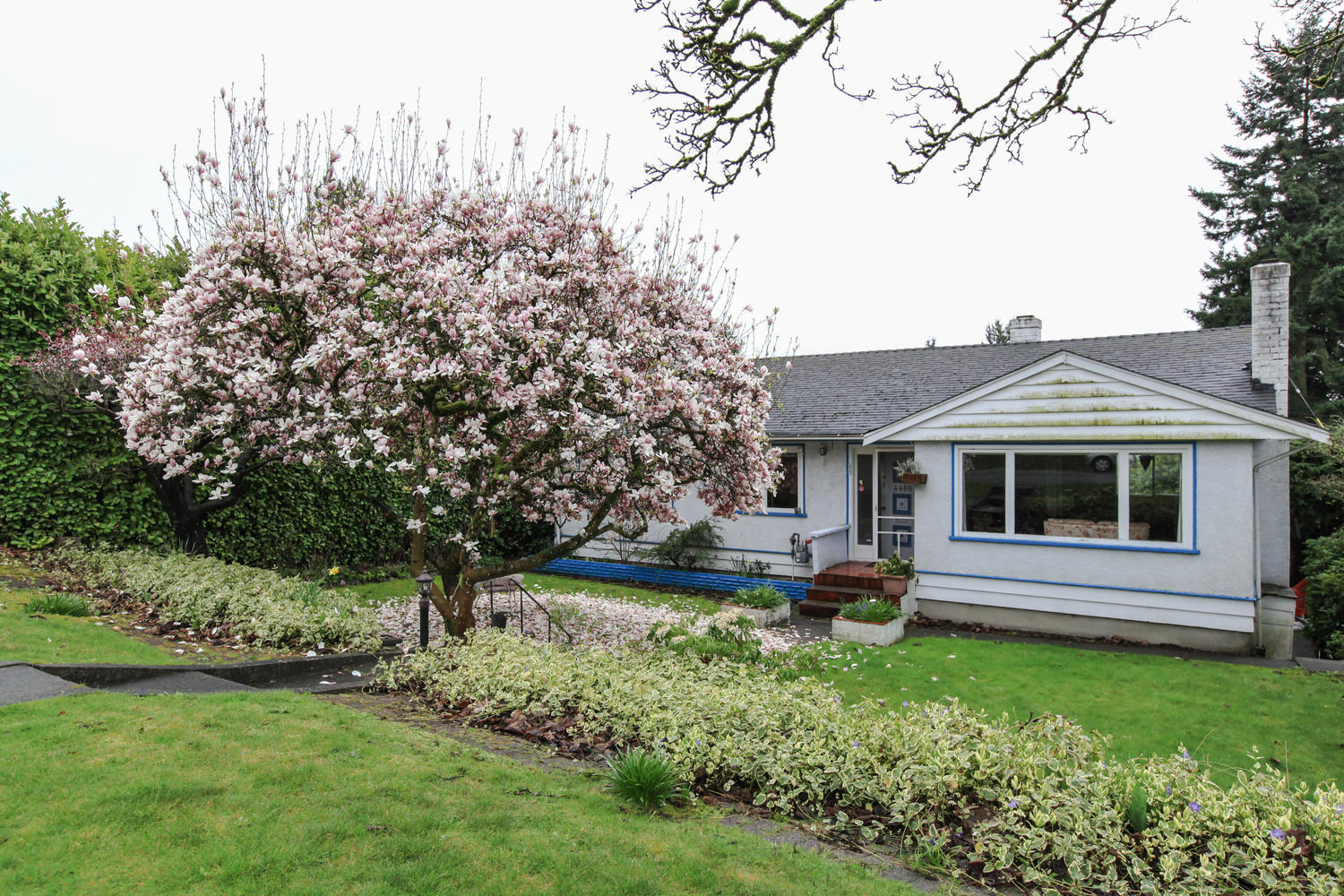 4468 Carson Street, Burnaby, BC 2