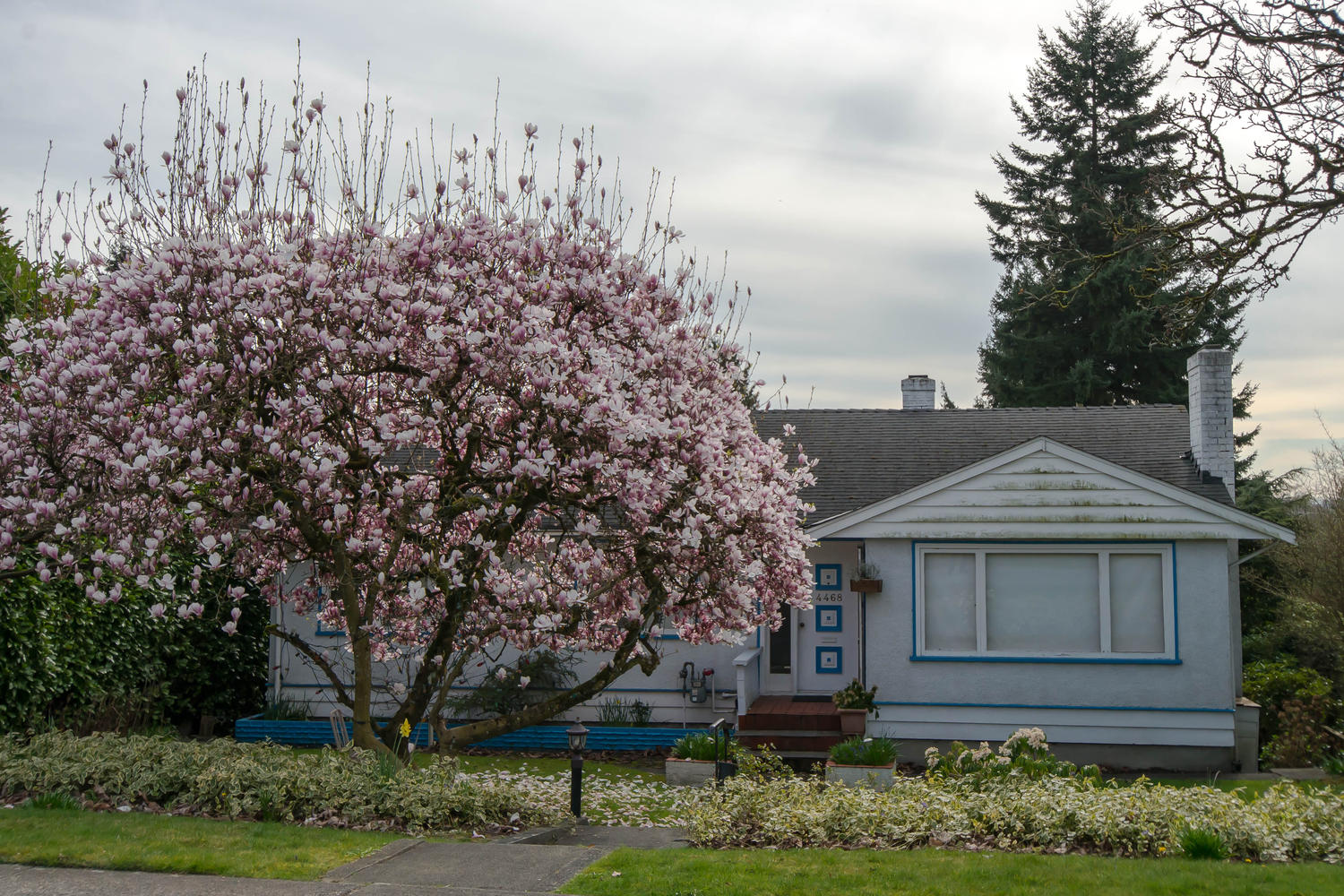 4468 Carson Street, Burnaby, BC 15