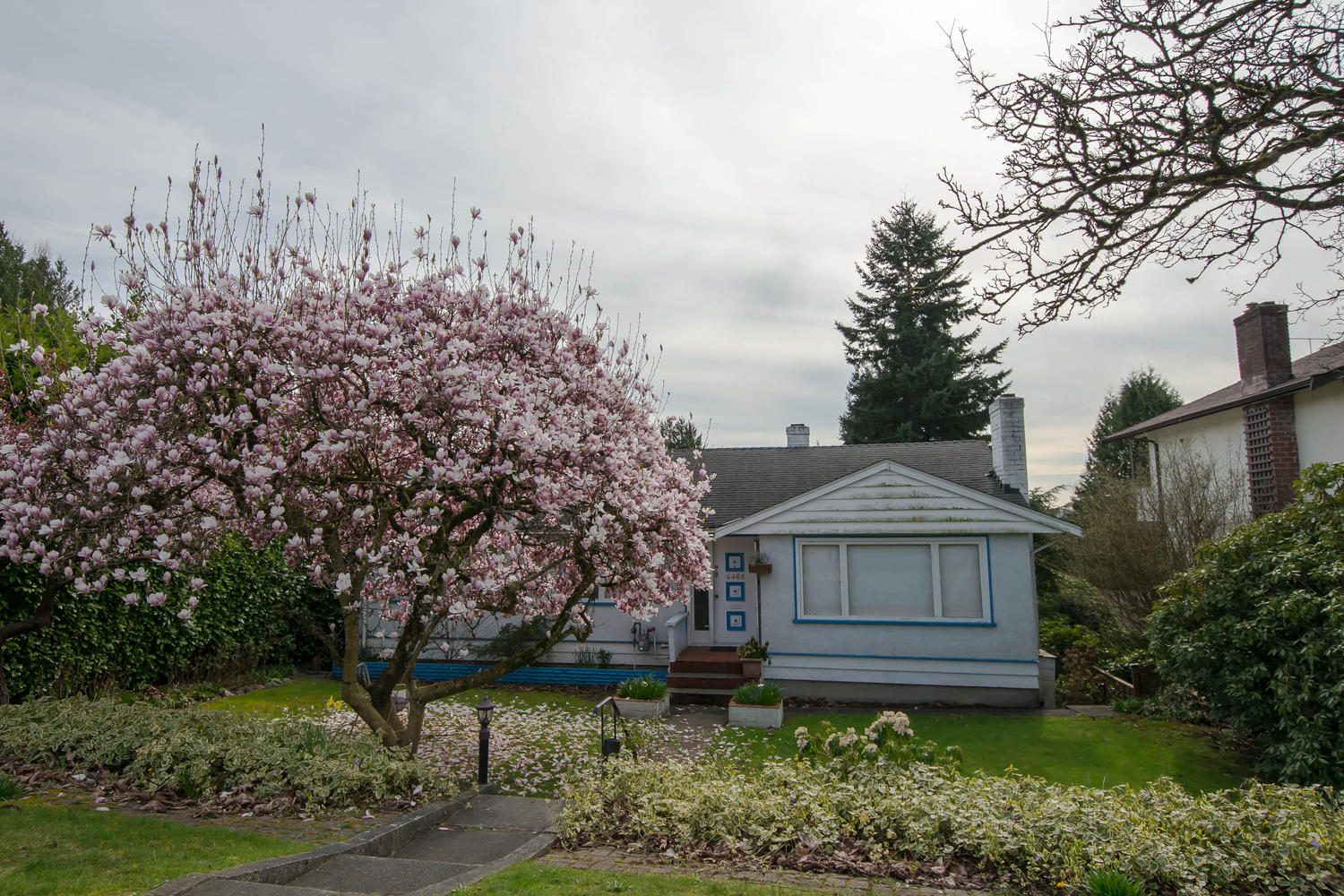 4468 Carson Street, Burnaby, BC 16