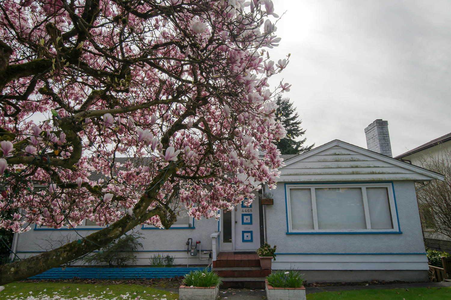 4468 Carson Street, Burnaby, BC 17