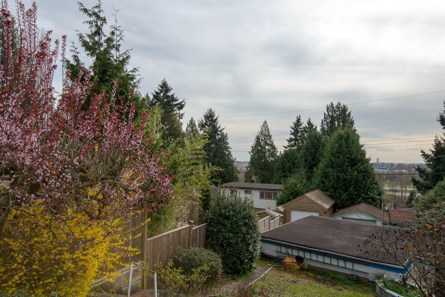 4468 Carson Street, Burnaby, BC 22
