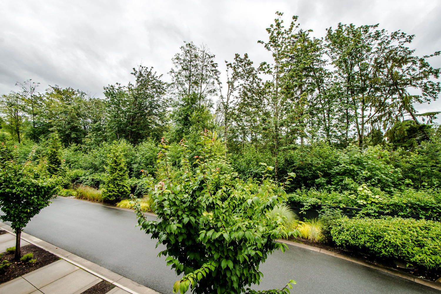 123-13819 232 Street, Maple Ridge, BC 27