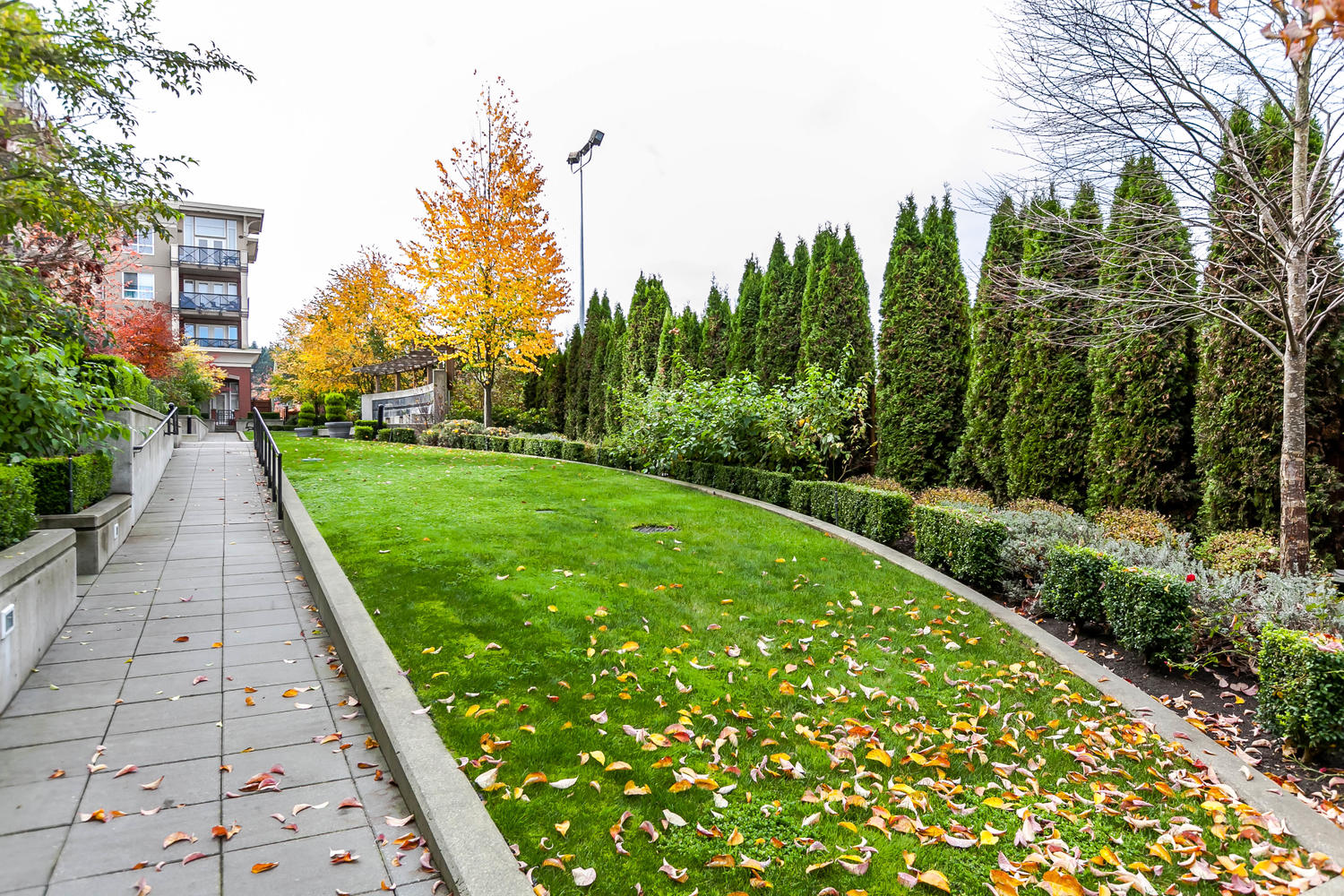 224-2970 King George Boulevard, Surrey, BC 4