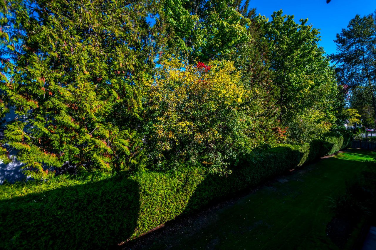 309-9767 140 Street, Surrey 21