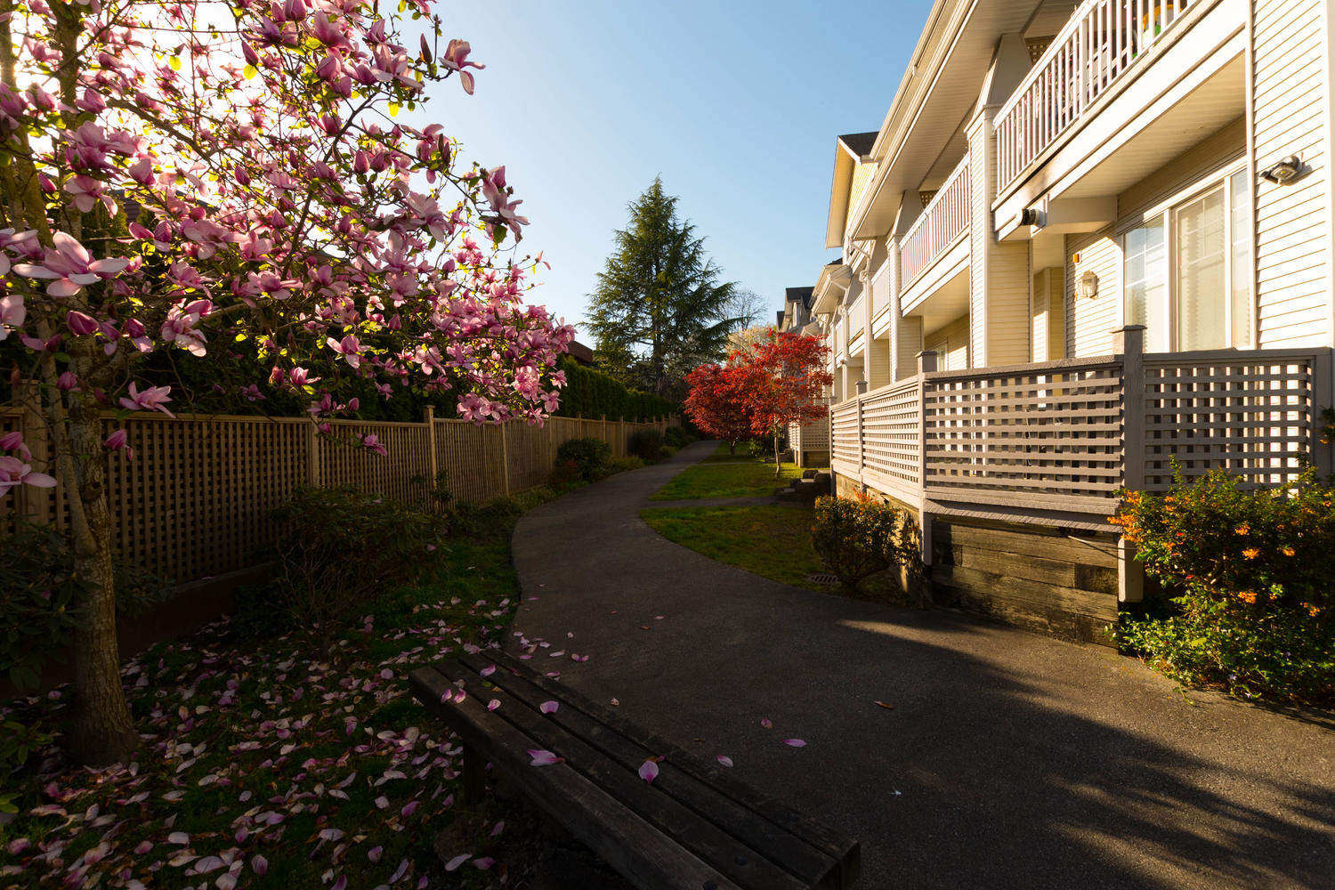 31 222 Tenth Street, New Westminster 2