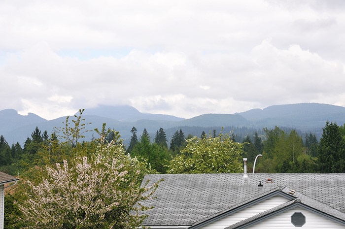 12398 230th Street in East Central Maple Ridge 16