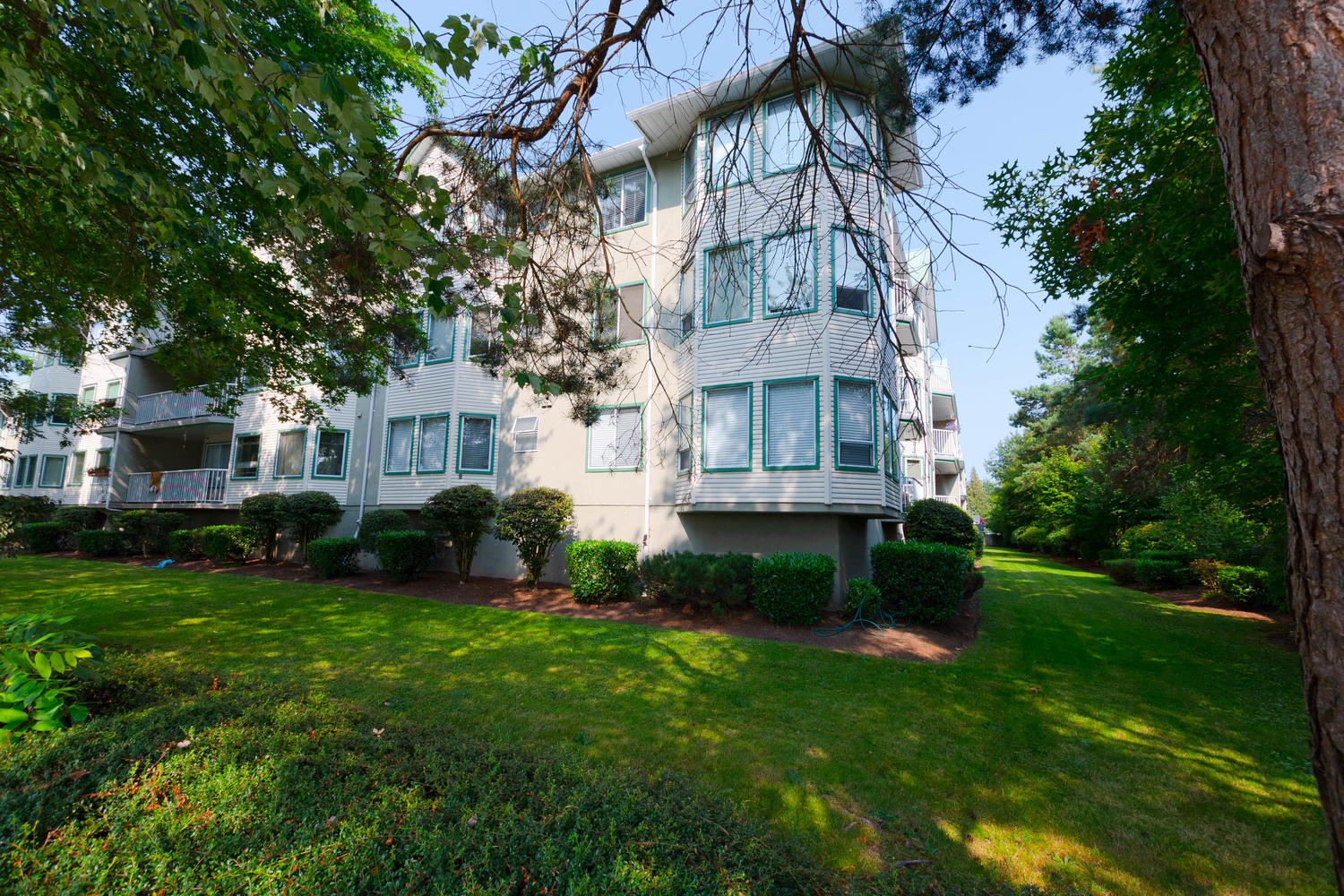 109 - 19236 Ford Rd, Pitt Meadows 2