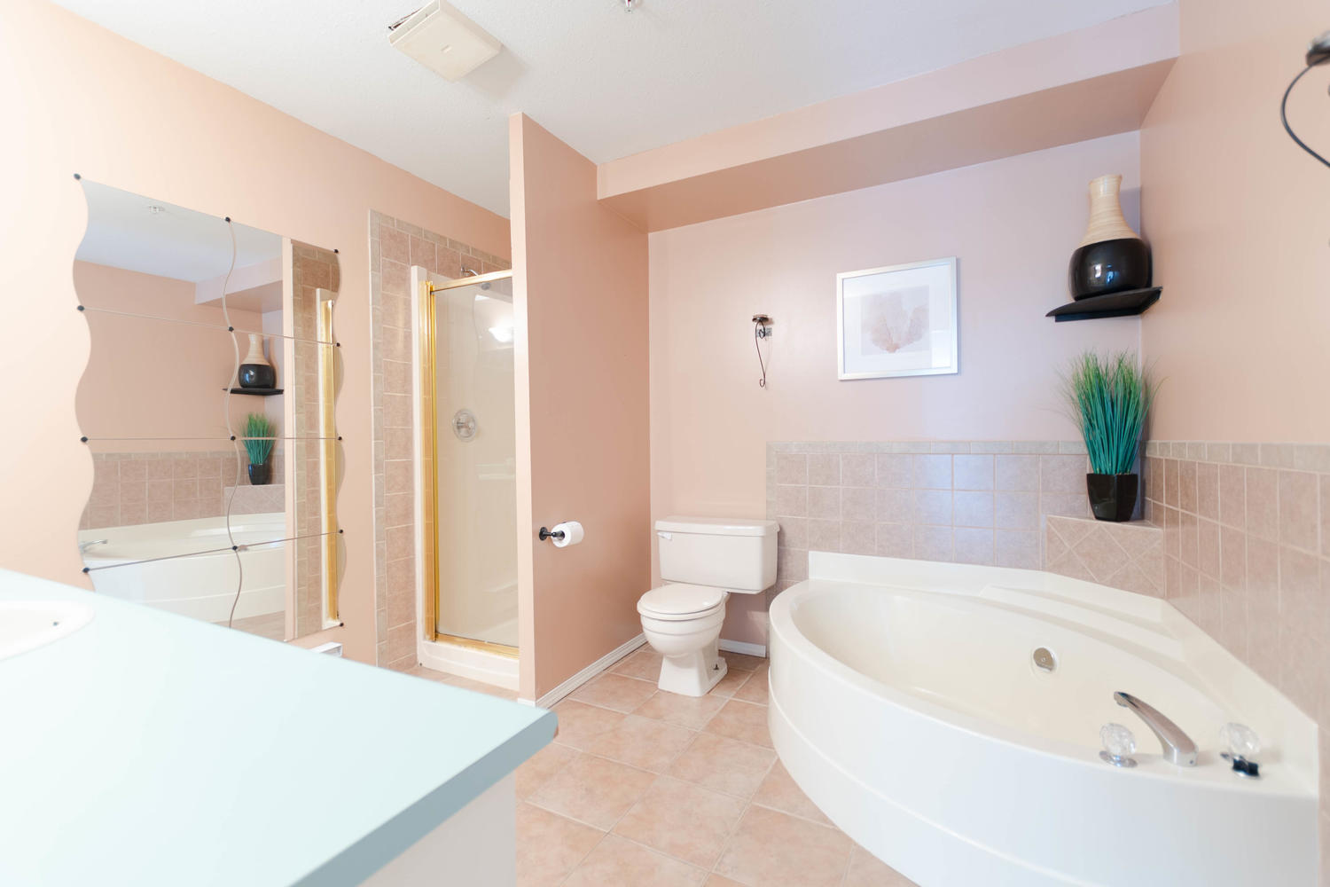 109 - 19236 Ford Rd, Pitt Meadows 21