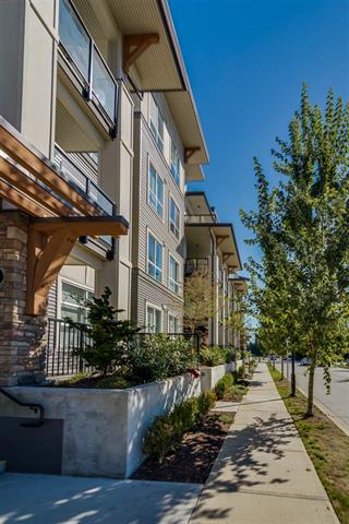 310 12409 Harris Road, Pitt Meadows 3