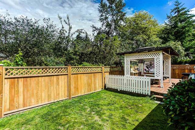 4 22875 125B Avenue, Maple Ridge 4