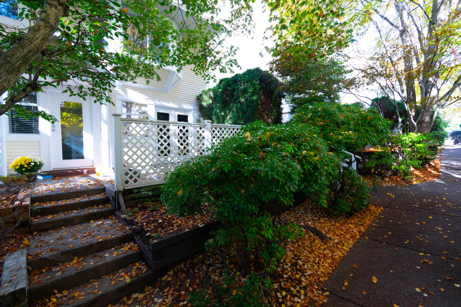 7-216 Ninth Street, New Westminster 2