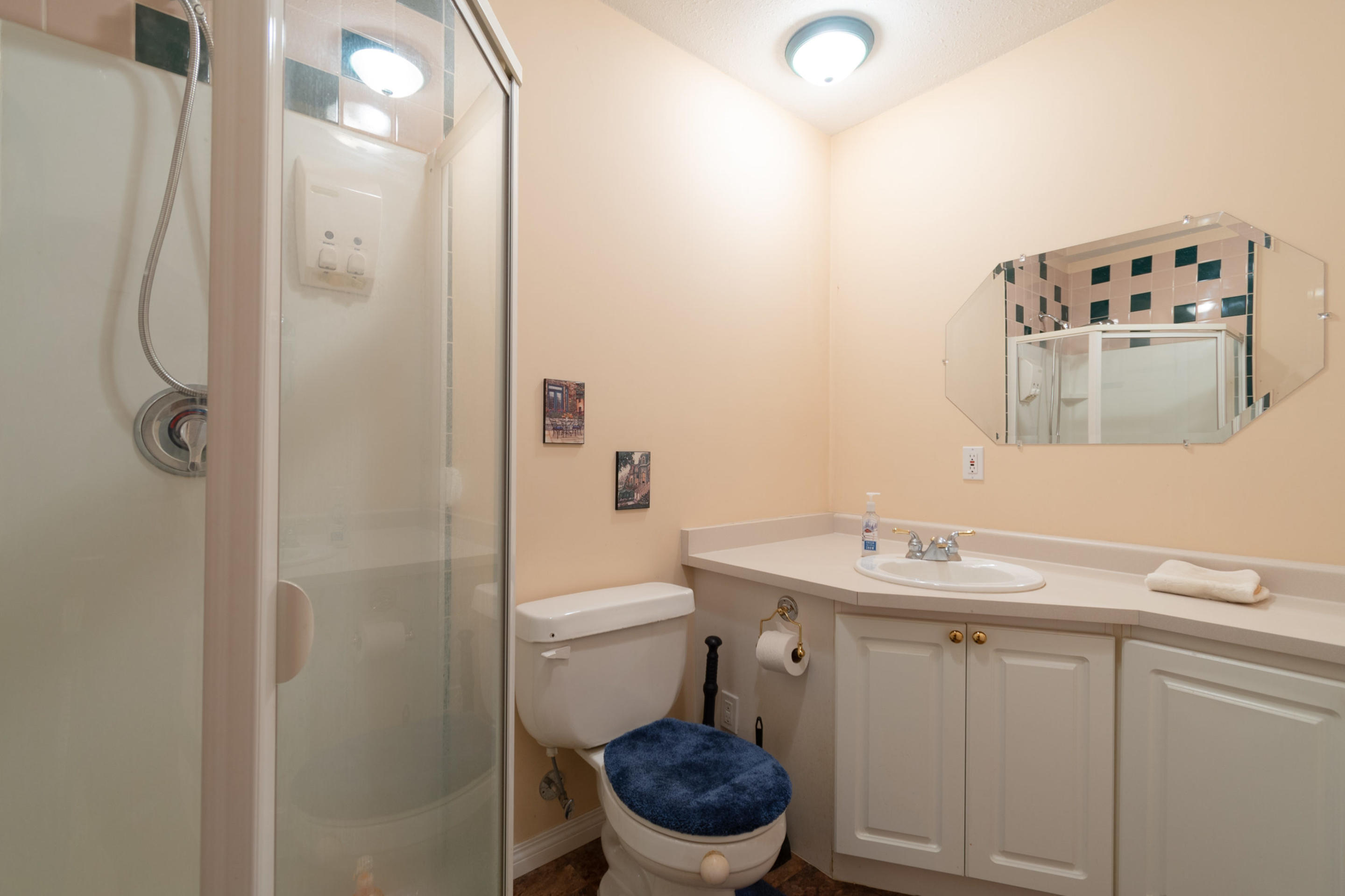 13-910 Fort Fraser Rise, Port Coquitlam 23