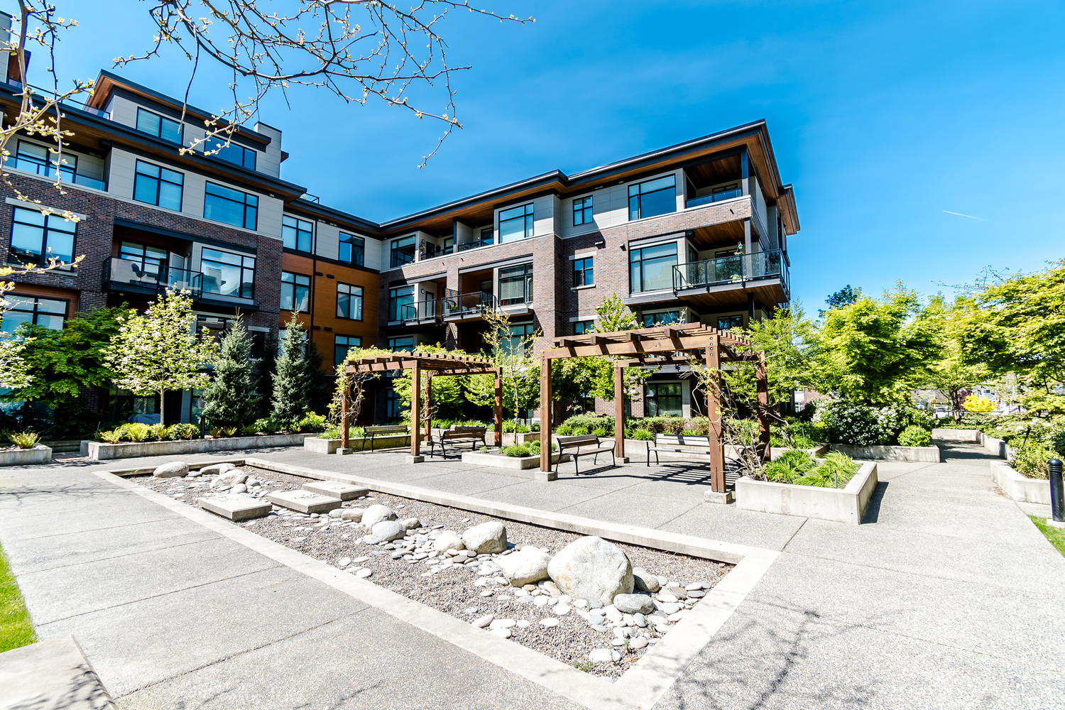 205 - 262 Salter St, New Westminster 3