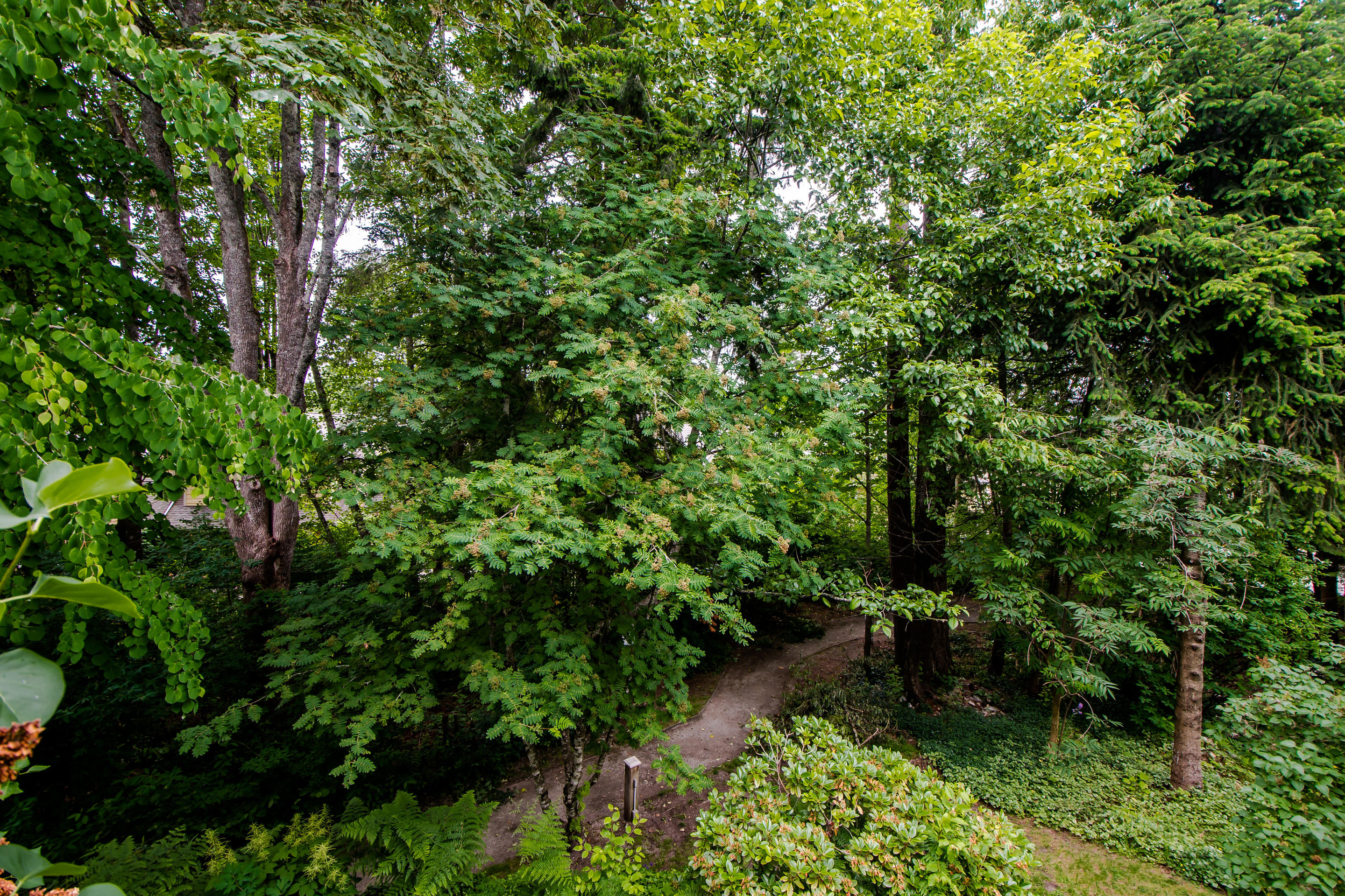 29-2588 152 St, Surrey 29