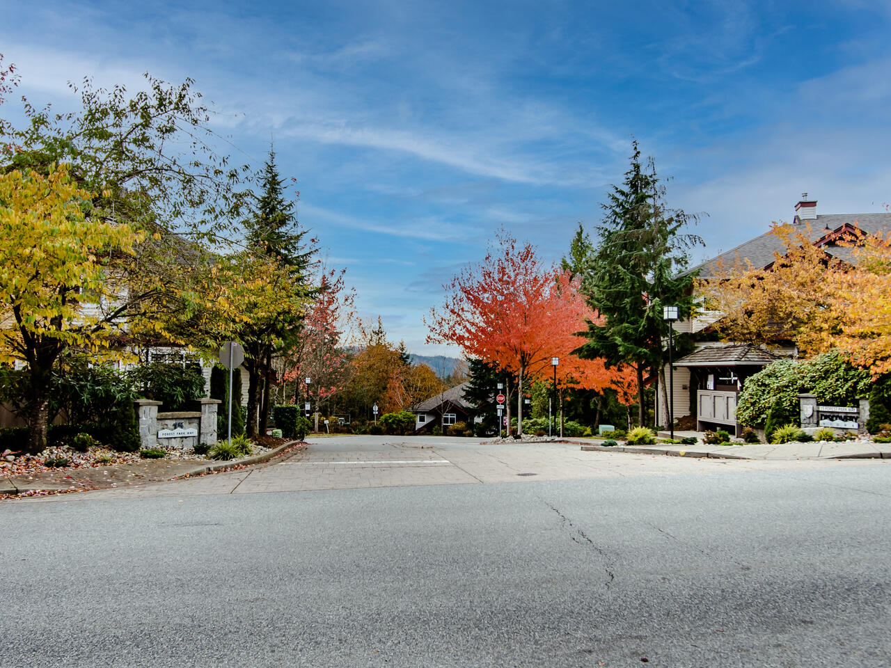 19 15 Forest Park Way, Port Moody 3