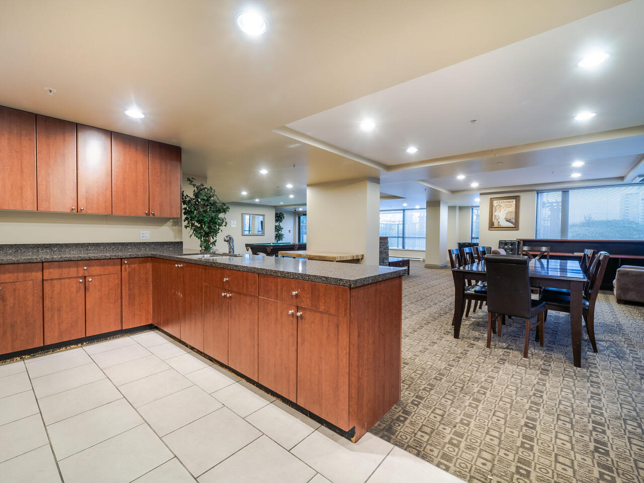 1105 4132 Halifax St, Burnaby 33