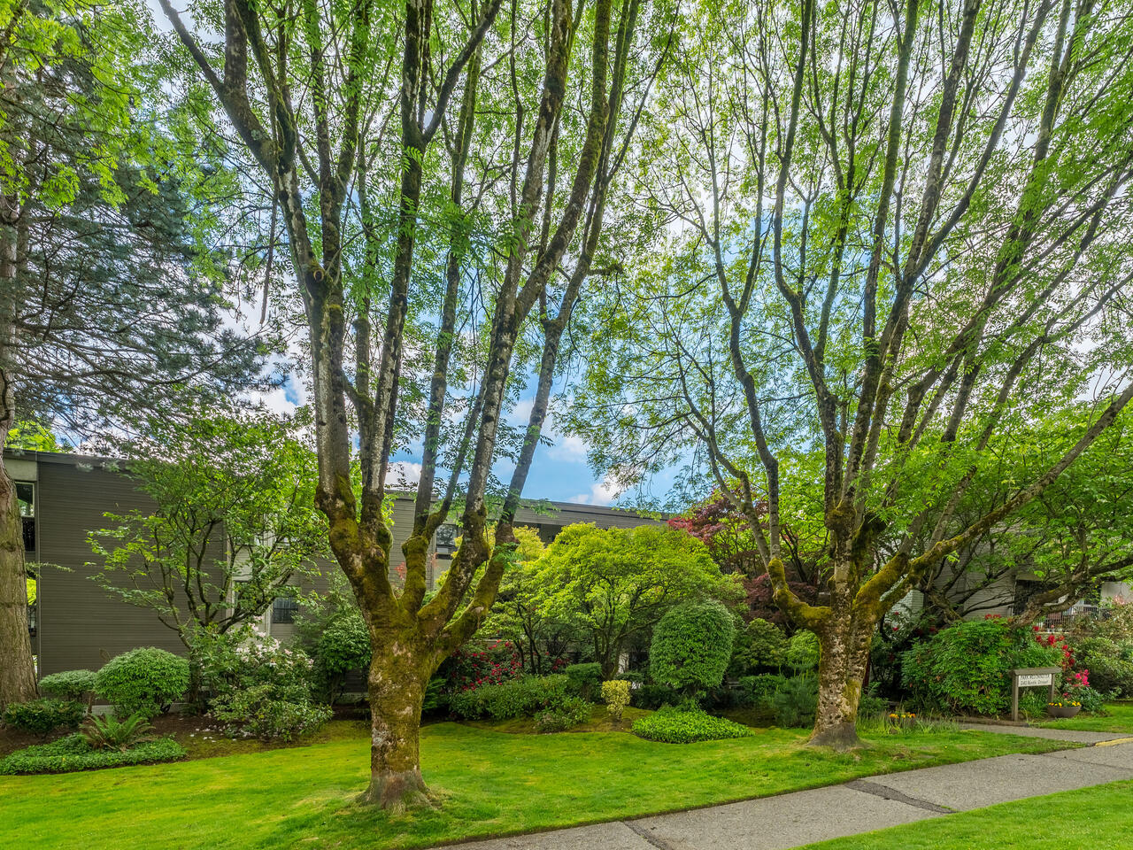 106 340 Ninth St, New Westminster 26
