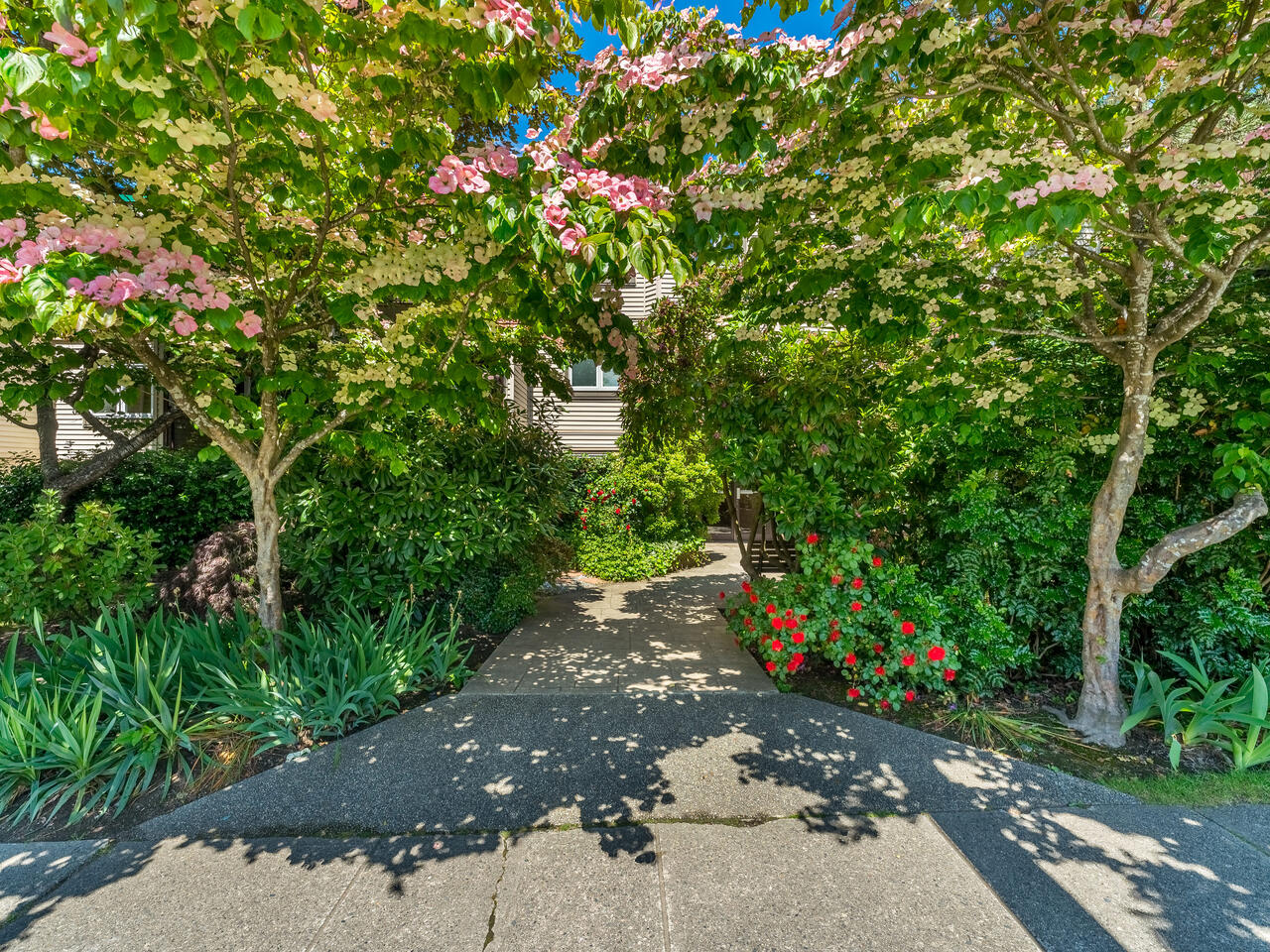 207 1429 E 4th Avenue, Vancouver 19