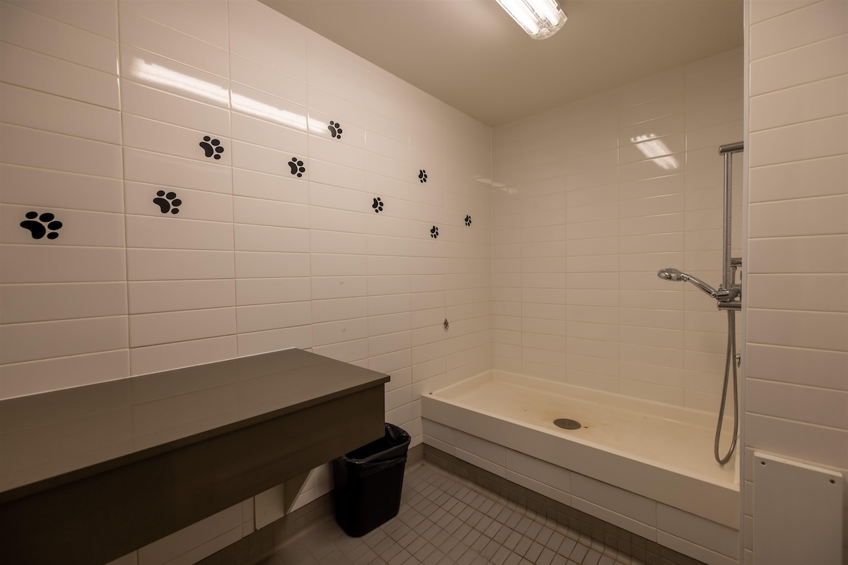 92-8138 204 Street, Langley 37