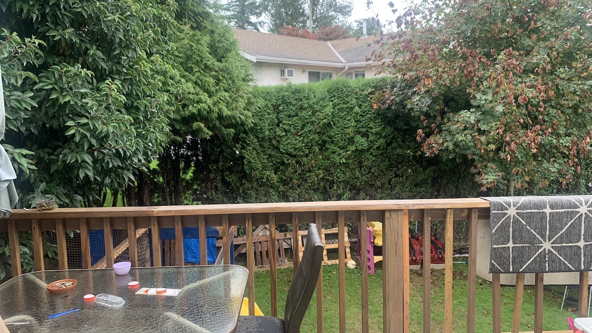 2366 Broadway Street, Abbotsford 8