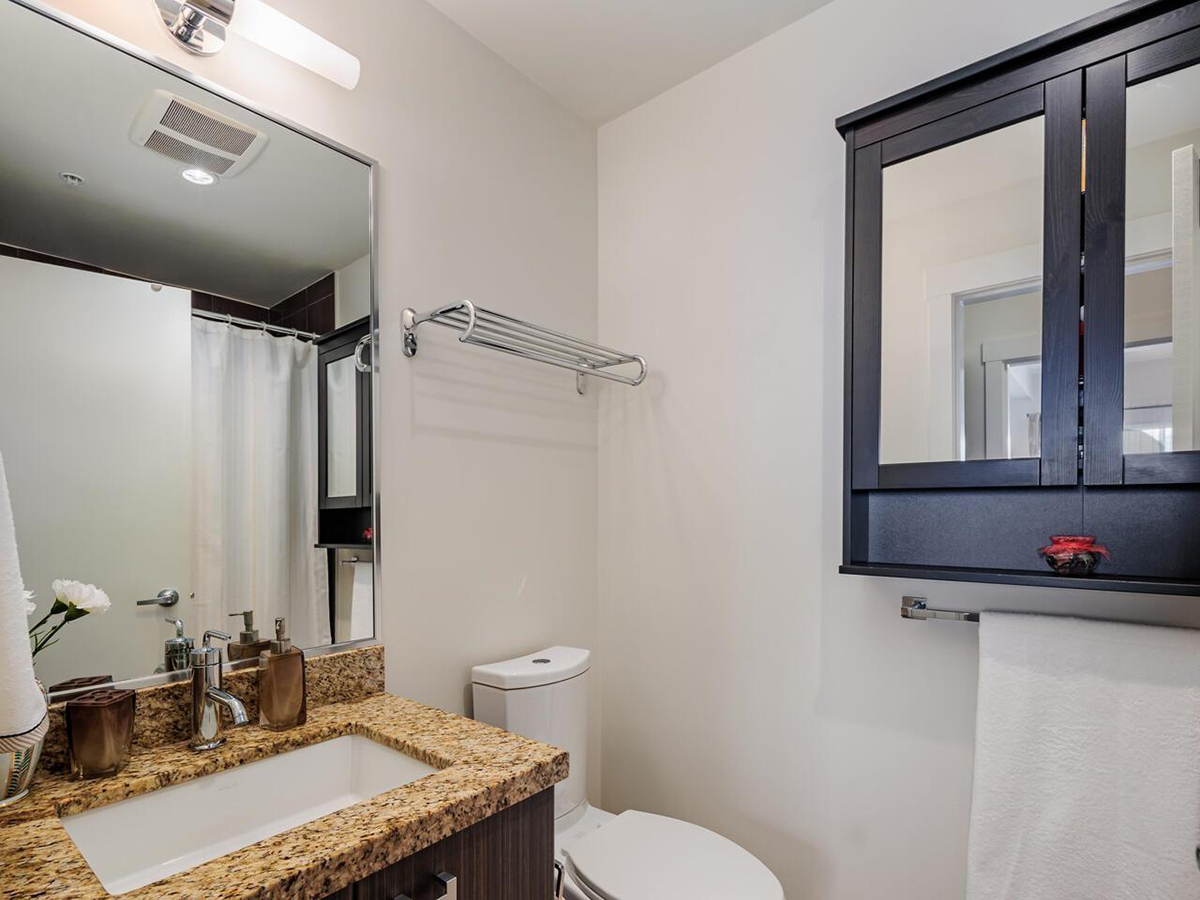 206 709 Twelfth Street, New Westminster 16